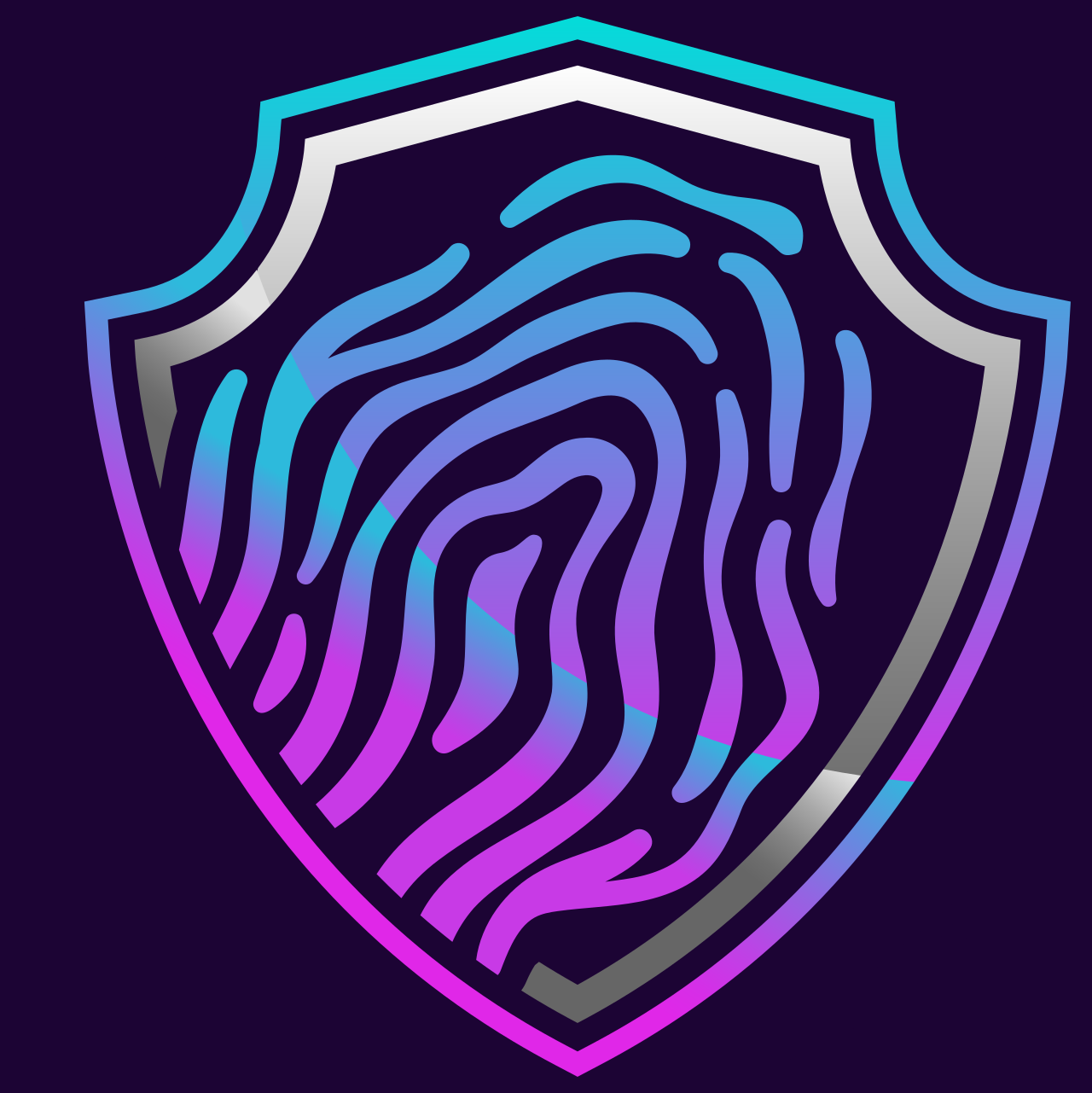 Field of View Security